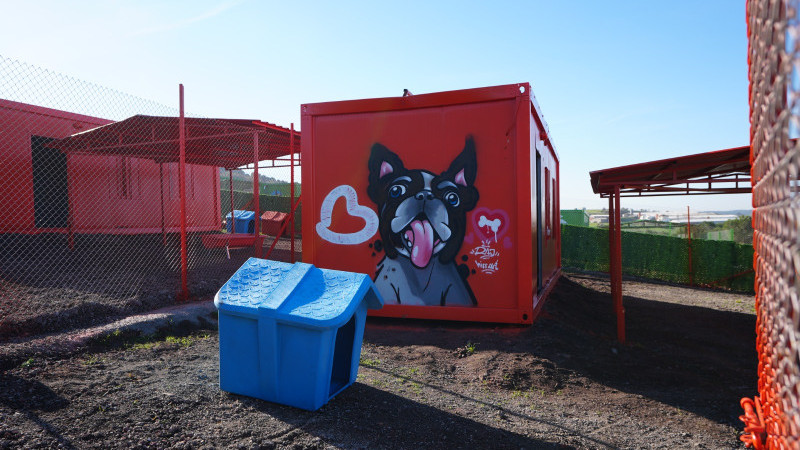 Türkiye’de ilk defa özel gereksinimli can dostlara sıcak yuva Balıkesir’de